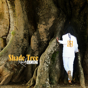 Pochette du titre class&eacute; 16