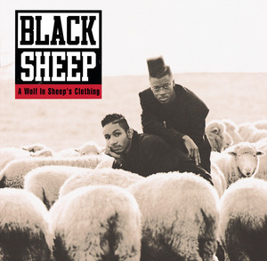 BLACK SHEEP / A WOLF IN SHEEP'S CLOTHING [LP - 422 848 368-1]：HIP