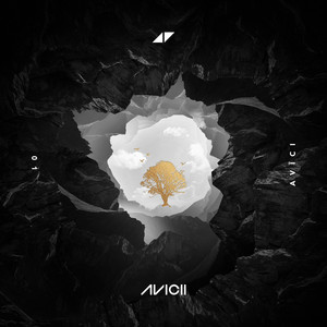 Écouter "Lonely Together" de Avicii