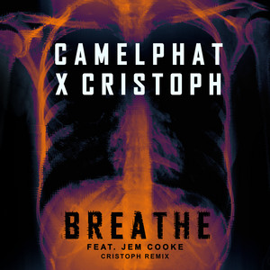 Écouter "Breathe - Cristoph Remix" de Camelphat
