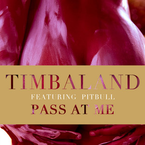 Écouter "Pass At Me" de Timbaland