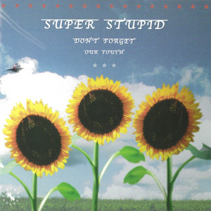SUPER STUPID / DON'T FORGET OUR YOUTH [LP - POD-012]：JAPANESE