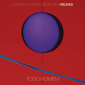 Écouter "Todo Homem - Ao Vivo" de Caetano Veloso