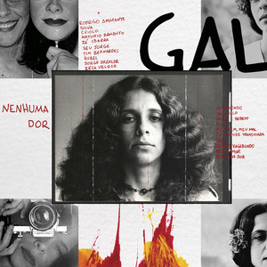 Écouter "Paula e Bebeto" de Gal Costa
