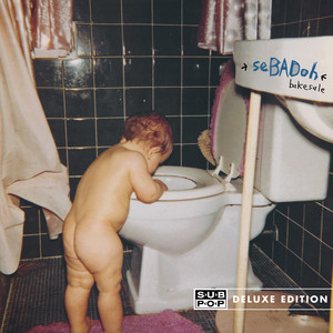 Sebadoh（セバドー）入門編【おすすめ曲・アルバム】 - TURBOKID DIARY