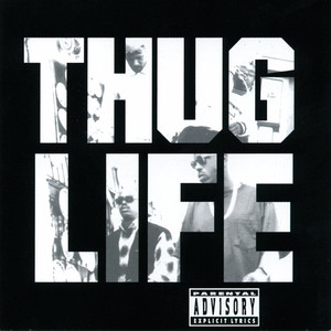 Thug Life - Volume 1 - hip hop vinyl