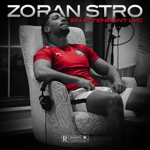 Écouter "Reste" de Zoran Stro