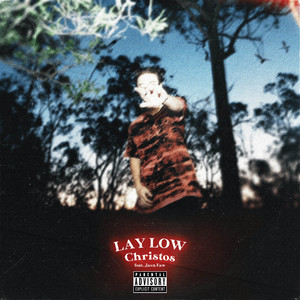 LAY LOW cover