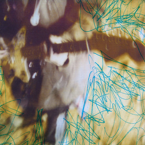 Freaks Of Go Go Spectators 2 -Sell Out-/ SPIRAL LIFE｜スノーウィの戯言