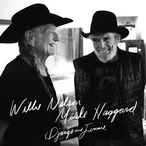 Écouter "It's All Going to Pot" de Willie Nelson