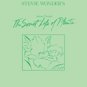 音楽雑記】#16 Stevie Wonder「Send One Your Love(愛を贈れば)」に耳