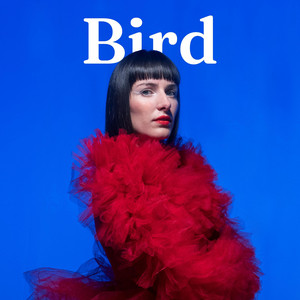 Bird by Boerni — produced by Mondy (Mahyar Zarifi)