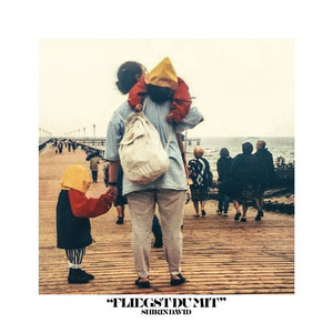 Écouter "Fliegst Du mit" de Shirin David