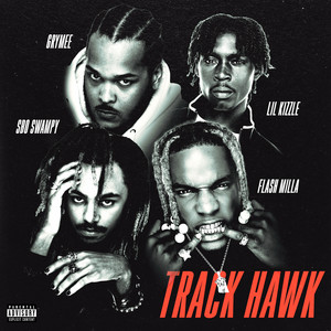 Track Hawk cover