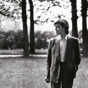 David Sylvian – 4 Re-Releases