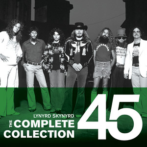 Écouter "Gimme Back My Bullets" de Lynyrd Skynyrd