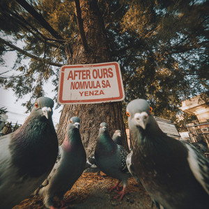 After Ours, Nomvula SA — Yenza