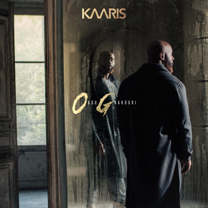 Écouter "Boyz N The Hood" de Kaaris