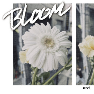 urei official Website