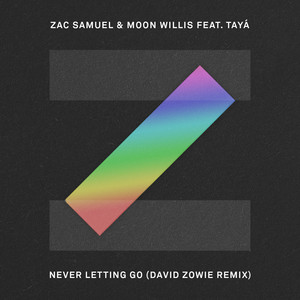 Écouter "Never Letting Go - David Zowie Remix" de David Zowie