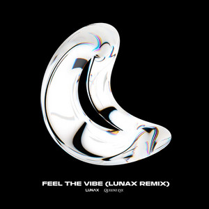 Écouter "Feel the Vibe (LUNAX Remix)" de LUNAX