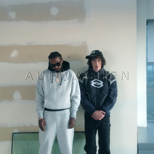 Écouter "aufwachen" de reezy