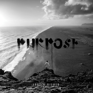 Écouter "Love Yourself" de Justin Bieber