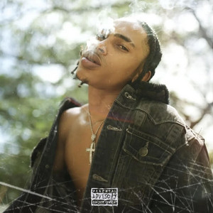 SVM - ticket cover