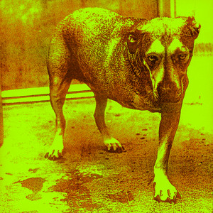 Écouter "Heaven Beside You" de Alice In Chains