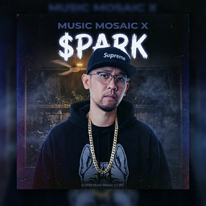 $PARK album art
