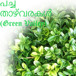 പച്ച താഴ്‌വരകൾ (Green Valleys) album art