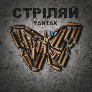 Обкладинка: Стріляй