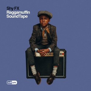Écouter "Roll The Dice" de Shy FX