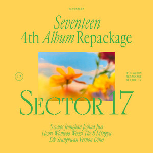 Sector 17 | Seventeen Wiki | Fandom