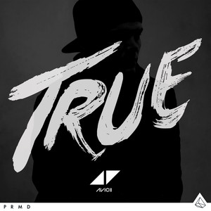 Écouter "Hey Brother" de Avicii