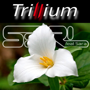 Écouter "Trillium" de S3RL