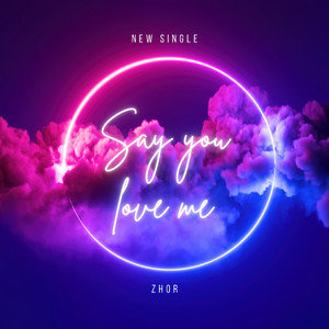 Pochette — Say You Love Me
