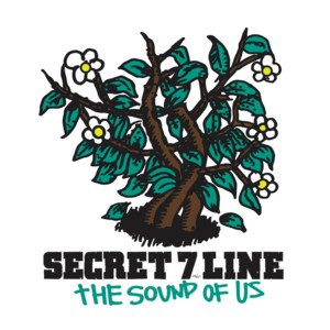 DOWN TO HELL / IT'S ALL RIGHT | SECRET 7 LINE official website