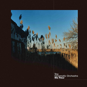 Écouter "In To You" de The Cinematic Orchestra