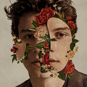 Écouter "Señorita" de Shawn Mendes