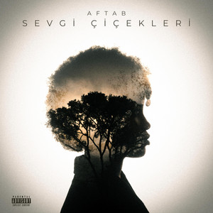 Sevgi Çiçekleri artwork