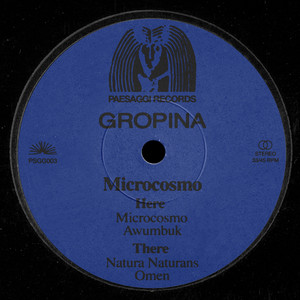 Gropina