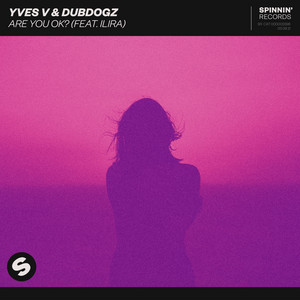 Écouter "Are You OK?" de Dubdogz
