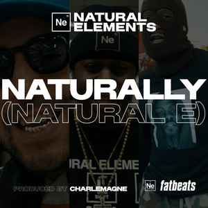 ALIGNMENT (CD)/NATURAL ELEMENTS (MR.VOODOO, L-SWIFT, A BUTTA