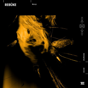 Écouter "Redemption" de Rebūke