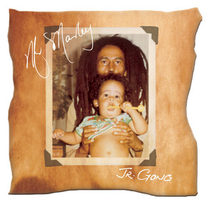 Écouter "Love and Inity" de Damian Marley