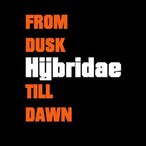 Albumcover From Dusk Till Dawn von Hÿbridae