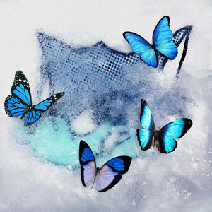 Frozen Butterfly | EXILE TRIBE Wiki | Fandom
