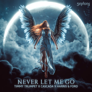 Écouter "Never Let Me Go" de Harris & Ford