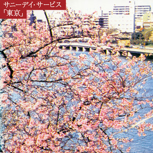 サニーデイ・サービス / 東京 [ピンク・カラーヴァイナル] [LP - MDJL